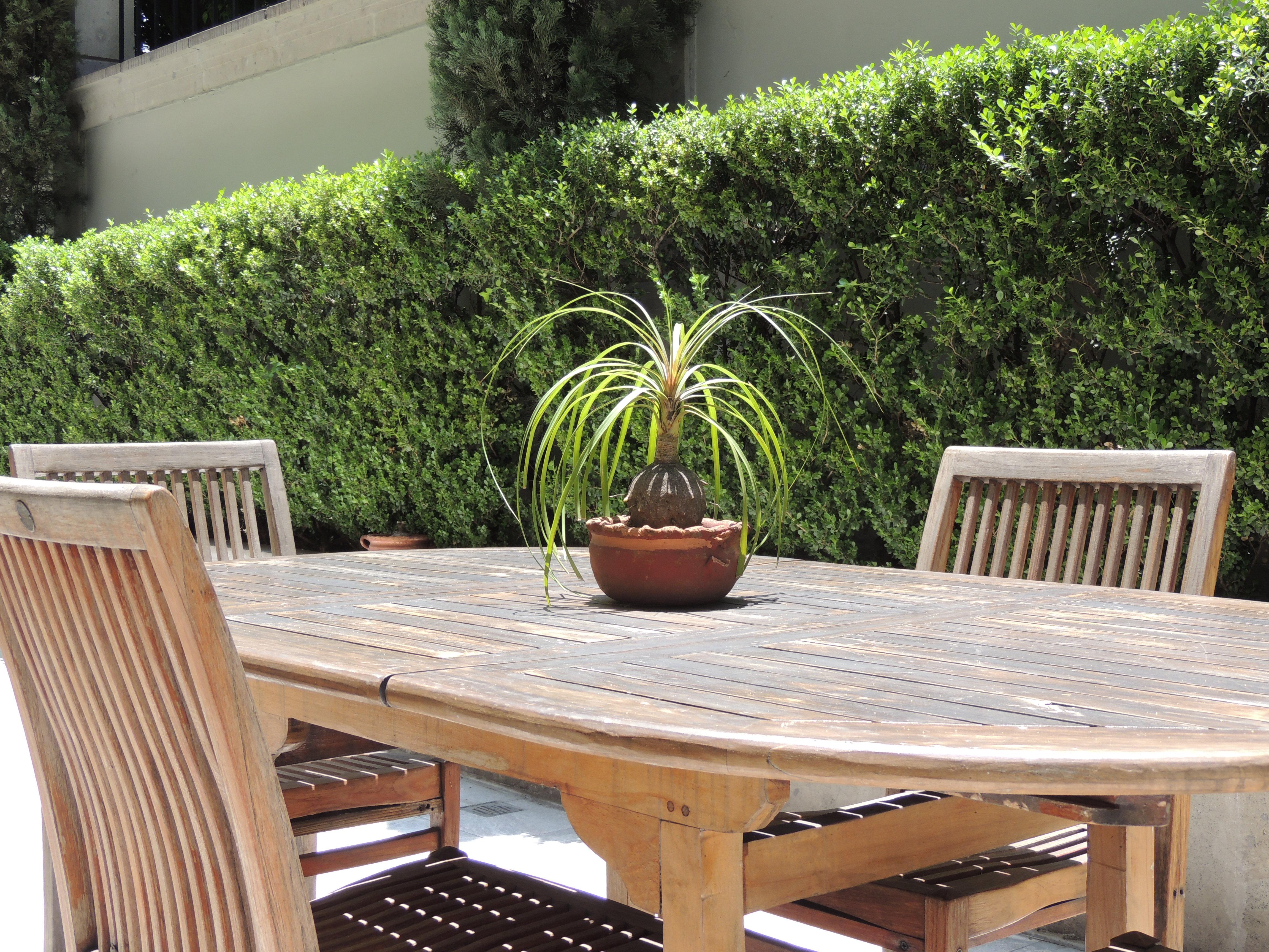 Suites Obelisk Mexico City Luaran gambar